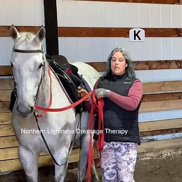 Rider in a helmet on a bay horse walking in an indoor arena