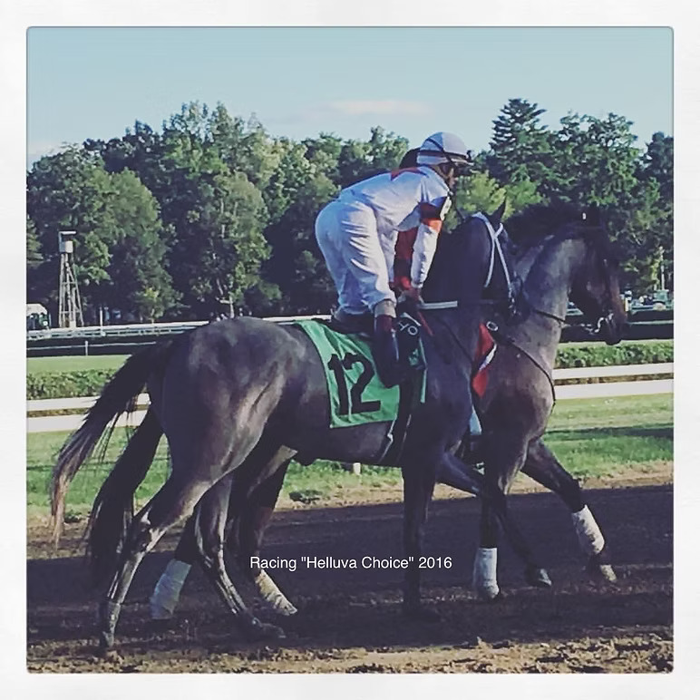 Princeton as a racehorse
