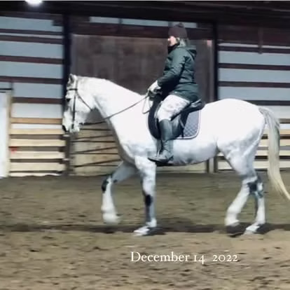 Therapeutic Riding